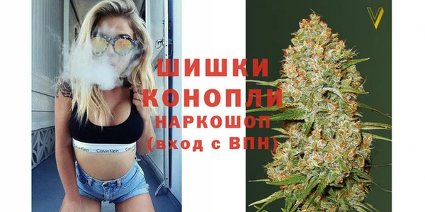 прущие грибы Соль-Илецк