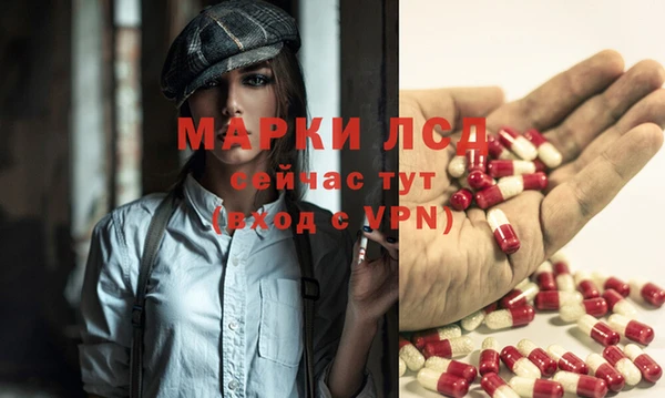 MESCALINE Болотное