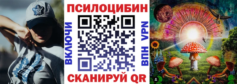 как найти наркотики Безенчук Псилоцибиновые грибы мицелий